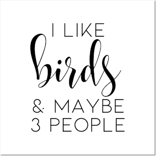 Bird Lover Bird Watching Gift Idea | Funny Birding / Birder Present For Men And Women | Silly Crazy Bird Lady Present For Him, Her | Bird Watcher - I Like Birds And Maybe 3 People Posters and Art